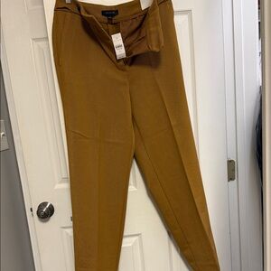 Ann Taylor Mustard Yellow Trousers